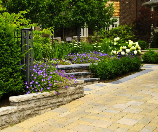 Garden with permeable paving